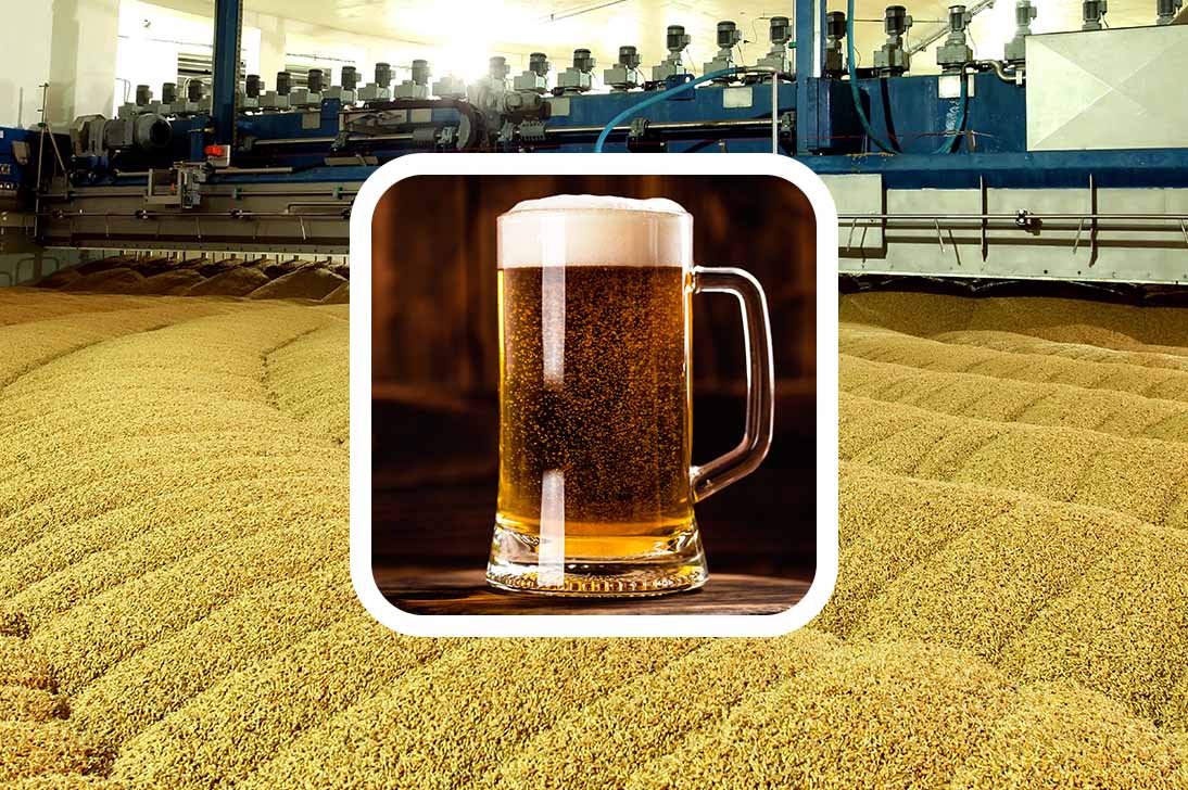 Malt Industry